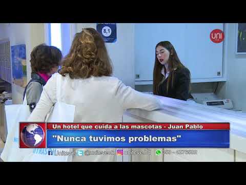 Un hotel que acepta mascotas