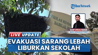 Ganggu Aktivitas, Siswa Dipulangkan usai Sarang Lebah Besar Ditemukan di SMP Islam Sabilal Muhtadin