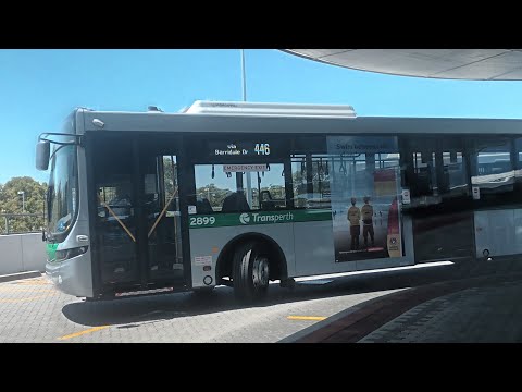[Thru Greenwood] Transperth Bus Route No. 446 (TP2899) Warwick Station to Whitfords Station