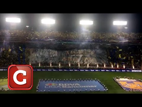 "El recibimiento a Tigres en el Uni durante la Final ante León" Barra: Libres y Lokos &bull; Club: Tigres
