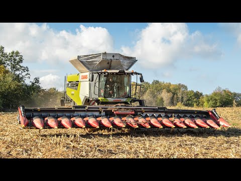 XXL CORN harvest - AgroVation | Claas Lexion 8900 + 16 row Geringhoff, Fendt 936 + Horsch Titan 44UW