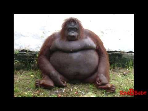 "Fattie Bum-Bum" - STOP calling me THAT!