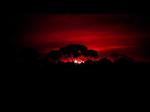 AkaSero and AkaSero999