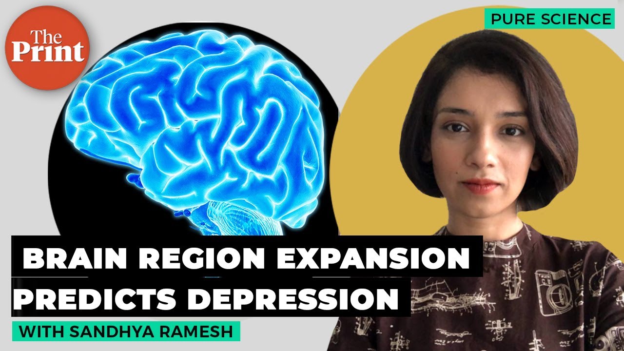Researchers identify double expansion in brain region associated with depression