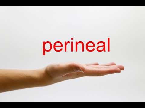 How to Pronounce perineal - American English
