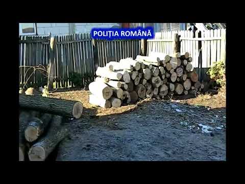 Descinderi în zori în comunele Călineşti şi Priboieni