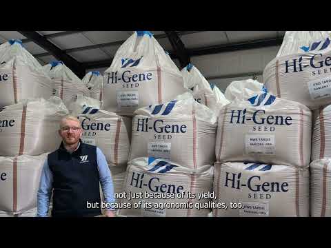 Is KWS Tardis the Best Barley Seed for Your Farm?