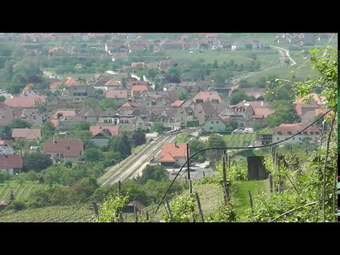 Wachaubahn von "oben"--Weissenkirchen aus dem Weinberg...2016...