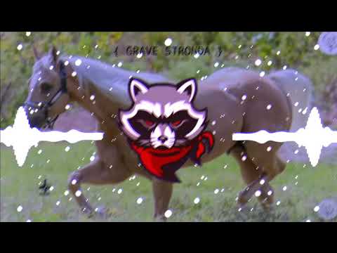 Pisadinha do Vaqueiro--Feriado de Vaqueiro  /Com grave/