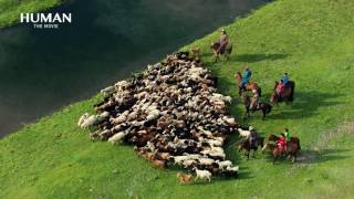 Aerial shooting : Steppes (Mongolia)