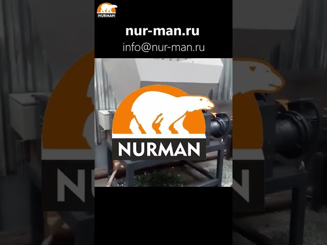 Nurman