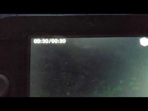 Sound Ideas, COW - SINGLE MOO, ANIMAL 02 compilation in Blue's Clues & You Reversed