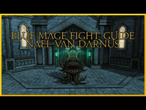 Blue Mage Raid Guide: Nael van Darnus (T9)