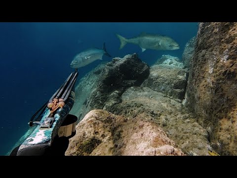 Impresionante Captura de 4 Piezas XXL - Pesca Submarina en Tenerife