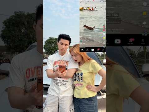 Hoàng Hôn | Khi Chó Đụng Vào Lòng Tự Ái Của Tôi Kiểu #Shorts