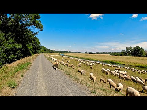 mit dem Fahrrad zwischen Halle und Leipzig pendeln?