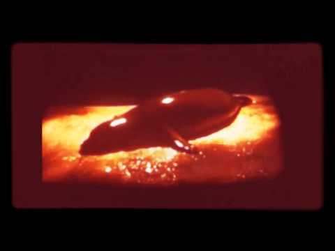 MC Kryptomedic Feat. Midas - Another Day (Korsak Remix)