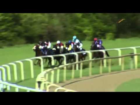 28.04.2013 Hannover 7.Rennen Grosser Preis von Rossmann 2013 - List  1.600 m