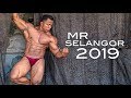 Mr Selangor 2019: Event Highlights