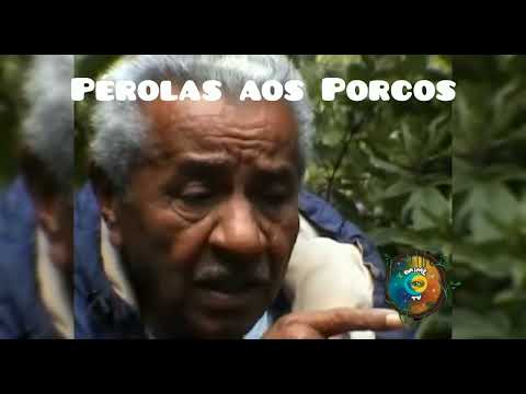 Mestre conselheiro Luiz Mendes, Pérolas do Mestre Irineu.