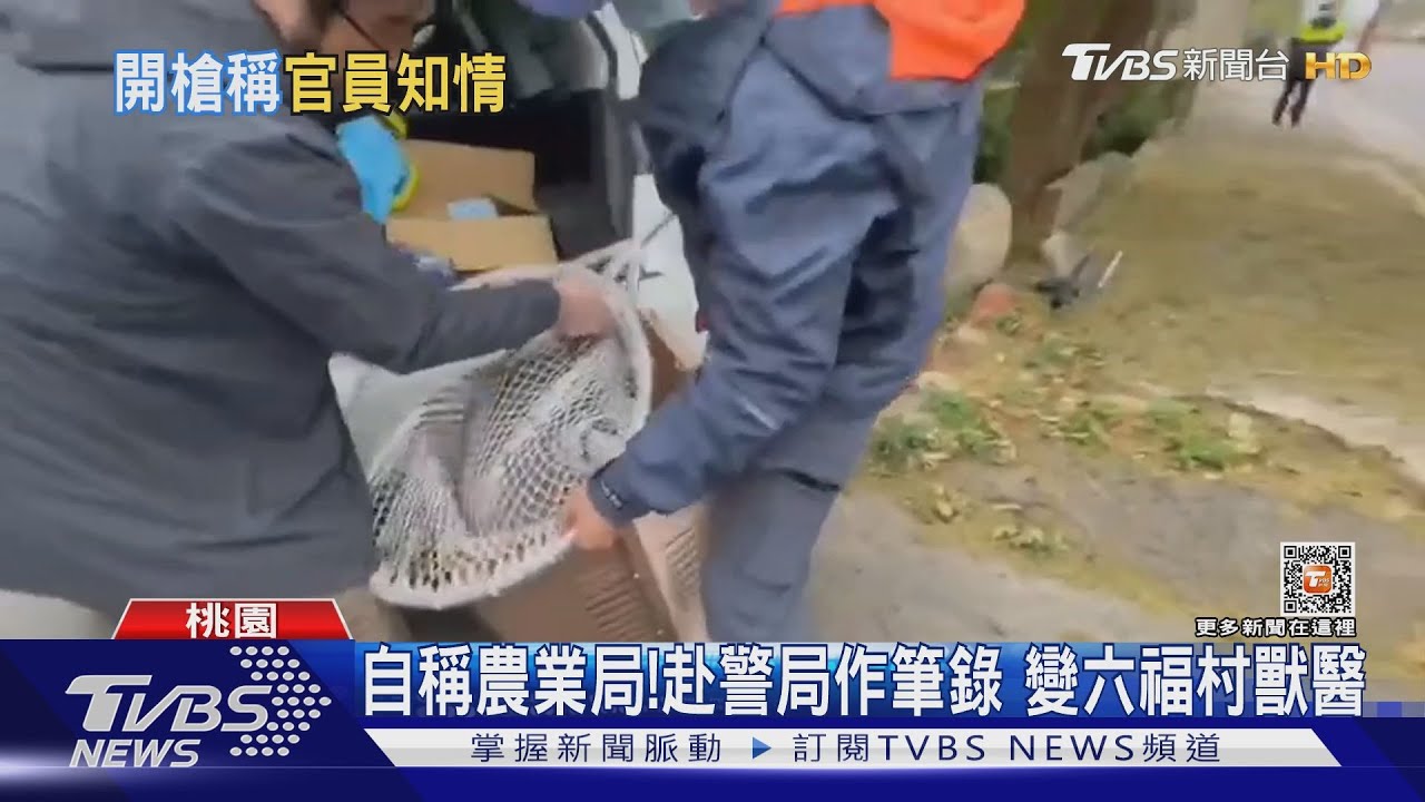 都知道我拿真槍！　獵人出面受訪還原經過