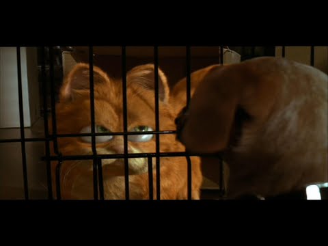 Garfield (2004) - Garfield finds Odie