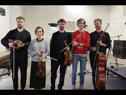 Michael Doherty: Ode to Punta Nati [2025]