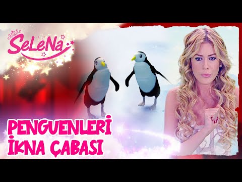 Selena penguenleri ikna edebilecek mi? | Selena 98. Bölüm Sahneleri ✨