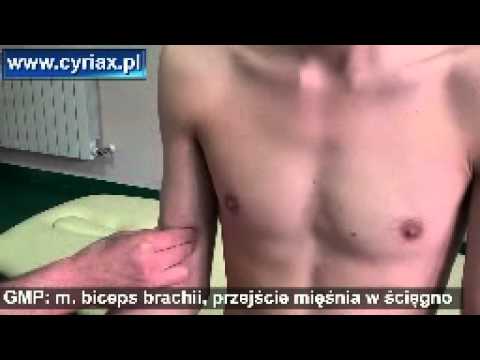 Żywność dla riboksin mięśnia sercowego Znaki zgniecenia mięśni