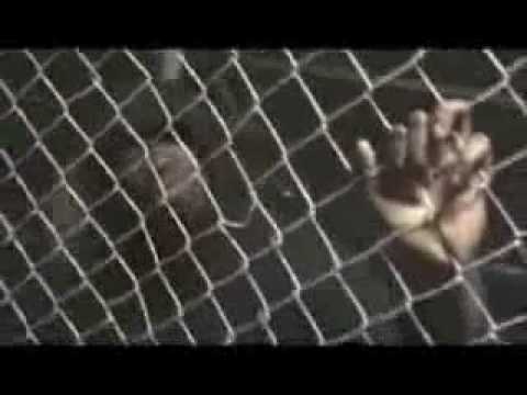 NEW CROSS GHETTO CRACK CITY BY PESTER