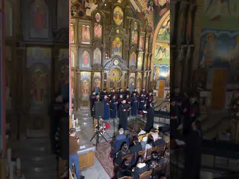 Vecernii canta clopotele-n vale !