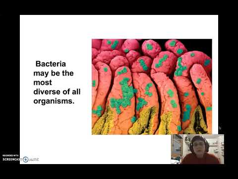 Chapter 15 (1) Microbes Bacteria