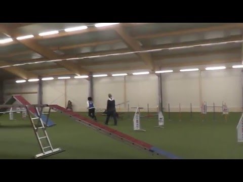 Kerstin Fechti & Quickie   A 2 - Agilityturnier in Östringen am 31.1.2016