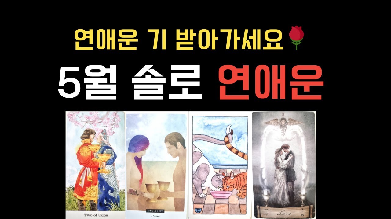 [타로] 연애운 "기" 받아가세요🌹 역대급 5월 솔로 연애운 리딩🙌 설레는 연애 출발!!! 🚗