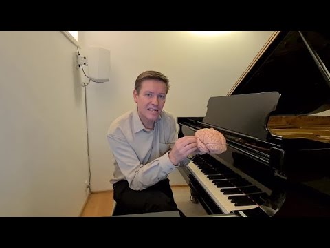 Groove: Hvorfor bevæger vi os til musik