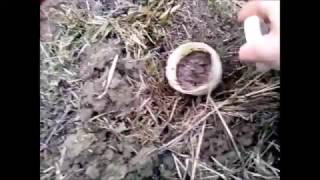 Где в новосибирске черви для рыбалки