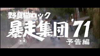 Trailer Preview Image