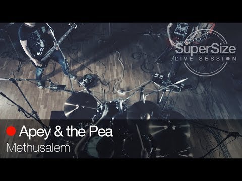 SuperSize LiveSession - Apey & the Pea - Methusalem