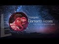 Flamants Roses Vangelis Live Cover By Germán Aguilar - German Alevxandro Flamants Roses Vangelis Live Cover By Germán Aguilar