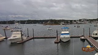 Maine · Streaming from Boothbay Harbor Marina live stream