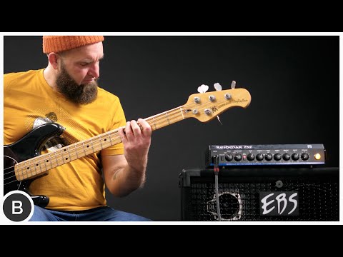 ONE AMP TO RULE THEM ALL !!