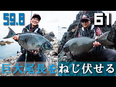 【がま磯アテンダーIII】マイクロドローンで巨大尾長との壮絶ファイトを激写!