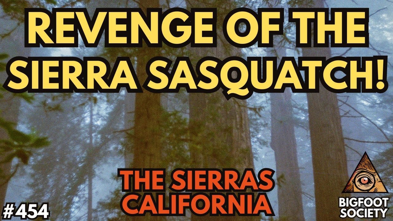 Revenge of the Sierra Sasquatch!