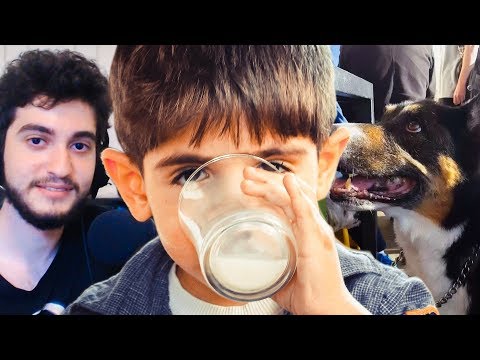 MILKBAG - Cellybeary ROAD TO CHALLENGER