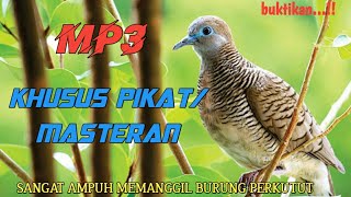 Download lagu MP3 SUARA BURUNG PERKUTUT KHUSUS PIKAT /MASTERAN SANGAT AMPUH..!! mp3 Download lagu MP3 SUARA BURUNG PERKUTUT KHUSUS PIKAT /MASTERAN SANGAT AMPUH..!! mp3
