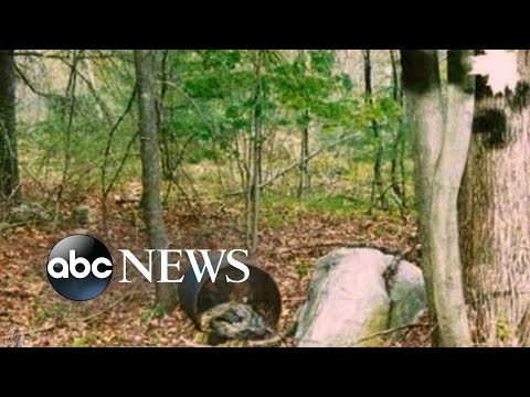 The Chameleon | 20/20 | PART 3