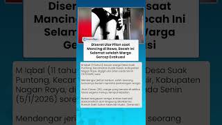 Diseret Ular Piton saat Mancing di Rawa, Bocah Ini Selamat setelah Warga Gercep Evakuasi