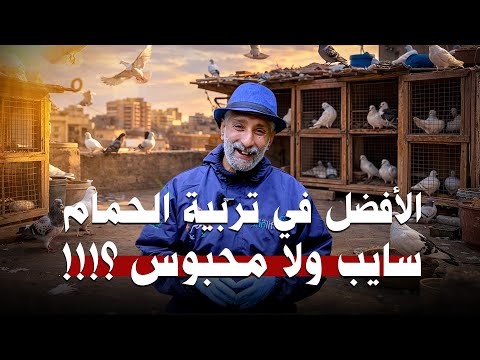نربي الحمام سايب ولا محبوس