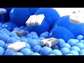I Accidentally Samsung Logo Balls Is Saying Everyone Will Subscribe To Each Other In Comments