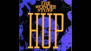 Wonder Stuff - Unfaithful